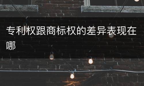 专利权跟商标权的差异表现在哪