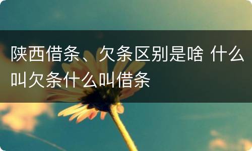 陕西借条、欠条区别是啥 什么叫欠条什么叫借条