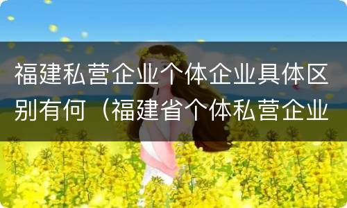 福建私营企业个体企业具体区别有何（福建省个体私营企业协会）