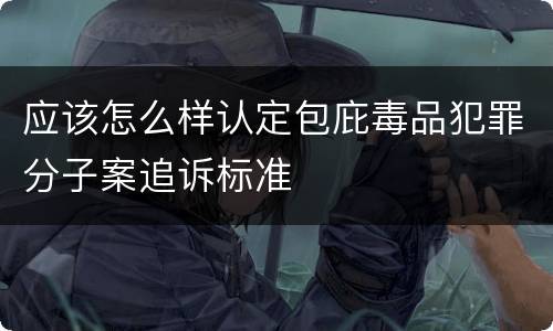 应该怎么样认定包庇毒品犯罪分子案追诉标准