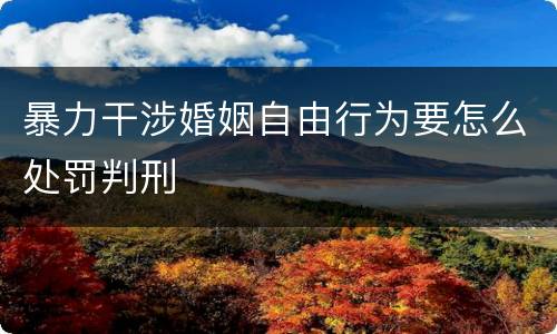暴力干涉婚姻自由行为要怎么处罚判刑