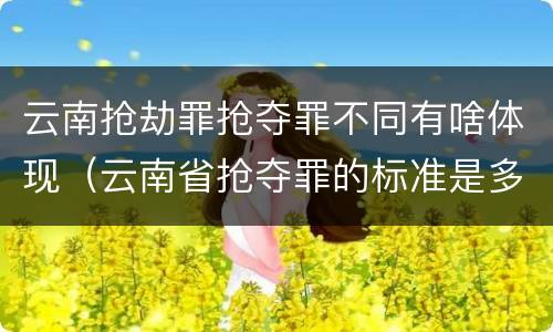 云南抢劫罪抢夺罪不同有啥体现（云南省抢夺罪的标准是多少?）