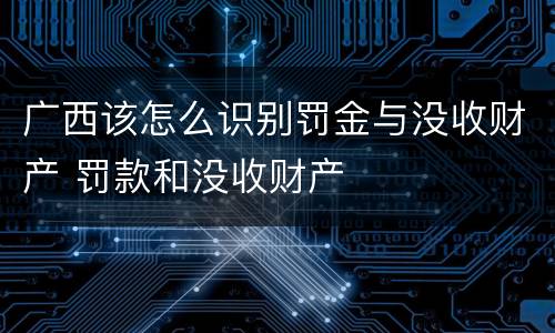 广西该怎么识别罚金与没收财产 罚款和没收财产