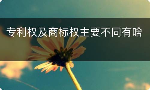 专利权及商标权主要不同有啥