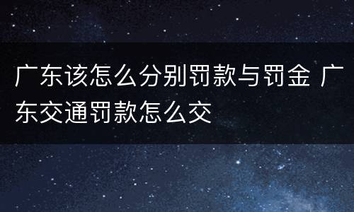 广东该怎么分别罚款与罚金 广东交通罚款怎么交