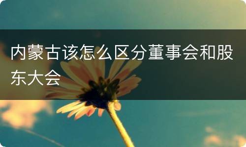 内蒙古该怎么区分董事会和股东大会
