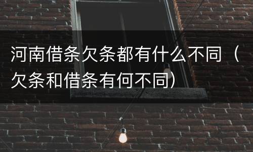 河南借条欠条都有什么不同（欠条和借条有何不同）