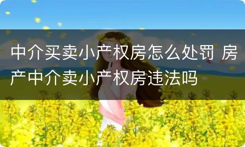 中介买卖小产权房怎么处罚 房产中介卖小产权房违法吗