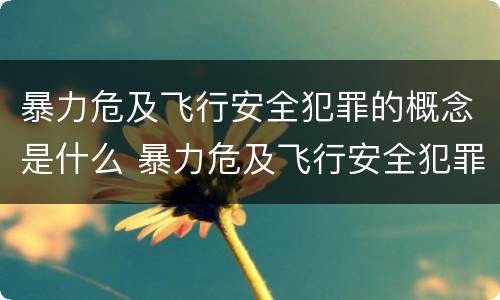 暴力危及飞行安全犯罪的概念是什么 暴力危及飞行安全犯罪的概念是什么