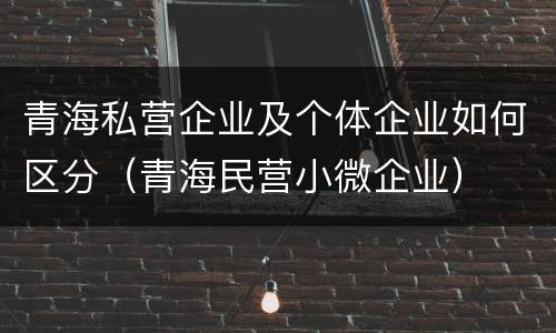 青海私营企业及个体企业如何区分（青海民营小微企业）
