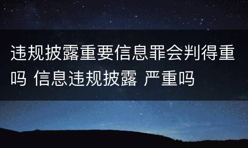 违规披露重要信息罪会判得重吗 信息违规披露 严重吗