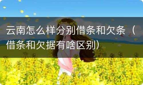 云南怎么样分别借条和欠条（借条和欠据有啥区别）