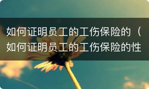如何证明员工的工伤保险的（如何证明员工的工伤保险的性质）