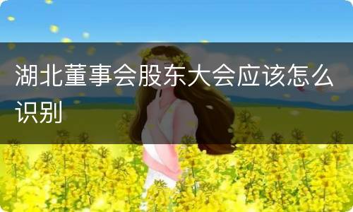 湖北董事会股东大会应该怎么识别