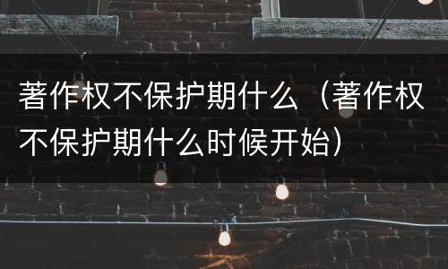 著作权不保护期什么（著作权不保护期什么时候开始）