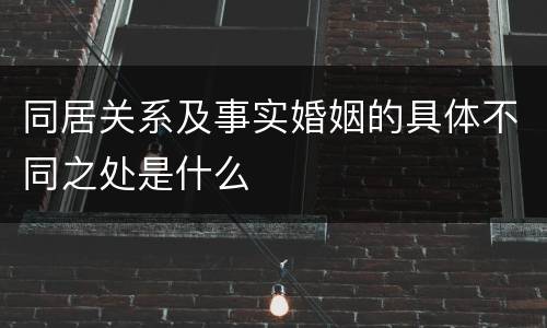 同居关系及事实婚姻的具体不同之处是什么