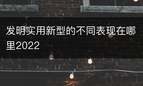 发明实用新型的不同表现在哪里2022
