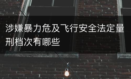 涉嫌暴力危及飞行安全法定量刑档次有哪些