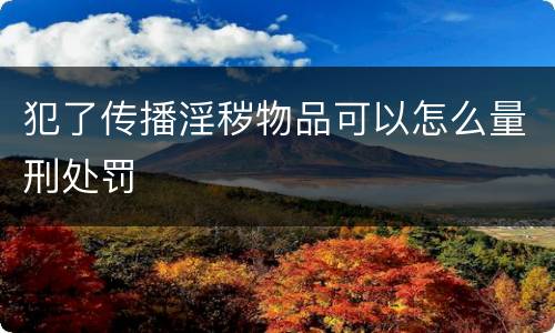 犯了传播淫秽物品可以怎么量刑处罚