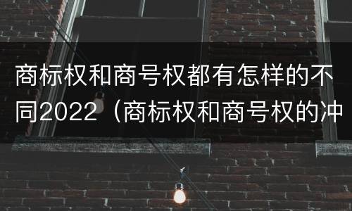 商标权和商号权都有怎样的不同2022（商标权和商号权的冲突）