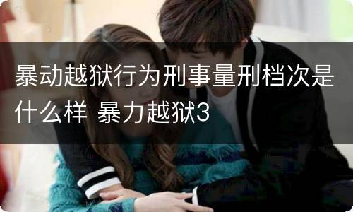 暴动越狱行为刑事量刑档次是什么样 暴力越狱3