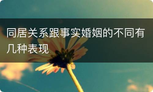 同居关系跟事实婚姻的不同有几种表现