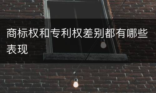 商标权和专利权差别都有哪些表现