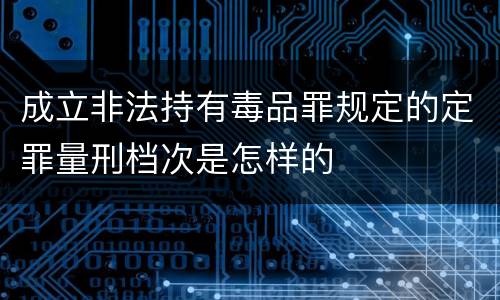 成立非法持有毒品罪规定的定罪量刑档次是怎样的