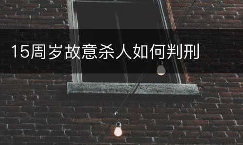15周岁故意杀人如何判刑
