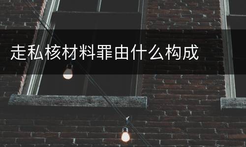 走私核材料罪由什么构成