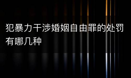 犯暴力干涉婚姻自由罪的处罚有哪几种