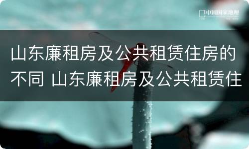 山东廉租房及公共租赁住房的不同 山东廉租房及公共租赁住房的不同原因