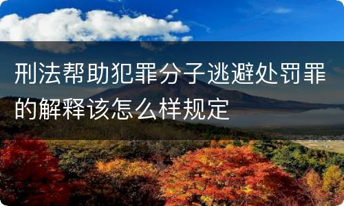 刑法帮助犯罪分子逃避处罚罪的解释该怎么样规定
