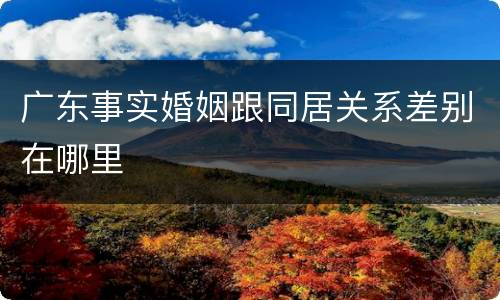 广东事实婚姻跟同居关系差别在哪里