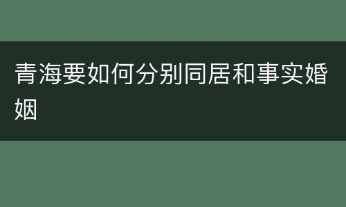 青海要如何分别同居和事实婚姻