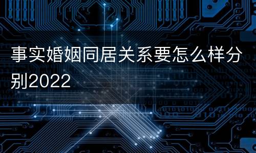 事实婚姻同居关系要怎么样分别2022