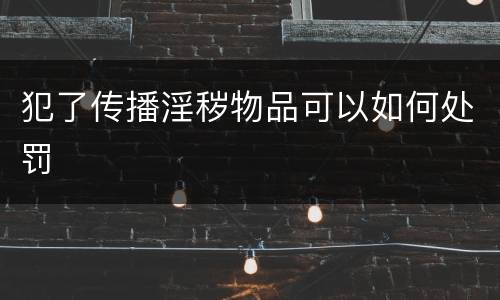 犯了传播淫秽物品可以如何处罚