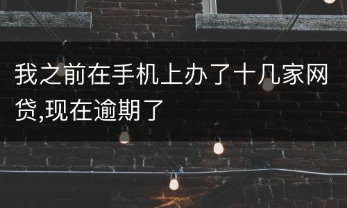 我之前在手机上办了十几家网贷,现在逾期了