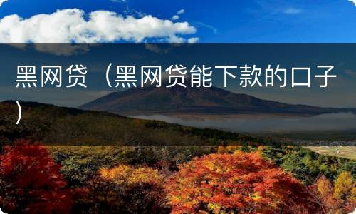 黑网贷（黑网贷能下款的口子）