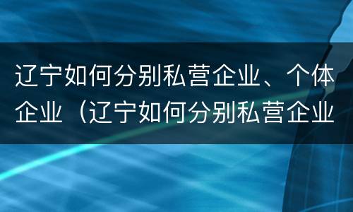辽宁如何分别私营企业、个体企业（辽宁如何分别私营企业,个体企业呢）