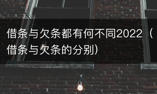 借条与欠条都有何不同2022（借条与欠条的分别）