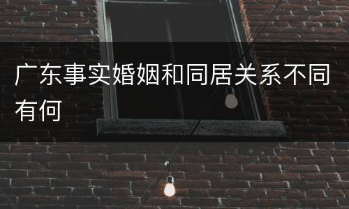 广东事实婚姻和同居关系不同有何