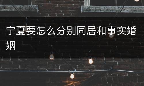 宁夏要怎么分别同居和事实婚姻