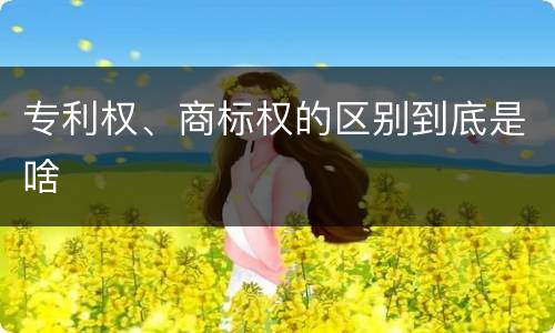 专利权、商标权的区别到底是啥