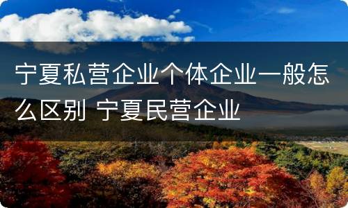 宁夏私营企业个体企业一般怎么区别 宁夏民营企业