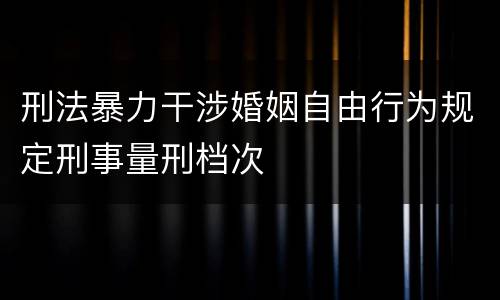 刑法暴力干涉婚姻自由行为规定刑事量刑档次