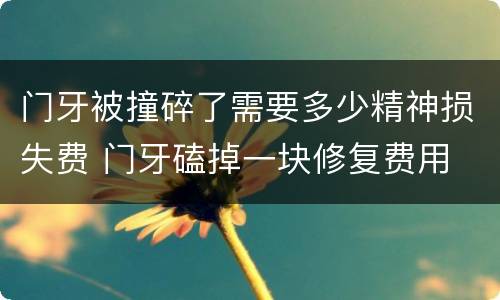 门牙被撞碎了需要多少精神损失费 门牙磕掉一块修复费用