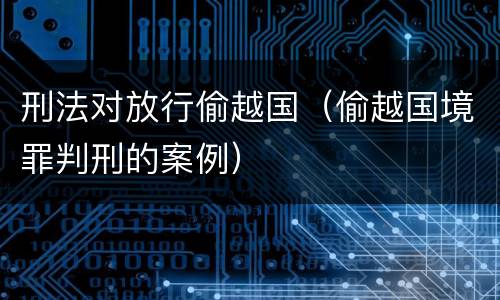 刑法对放行偷越国（偷越国境罪判刑的案例）