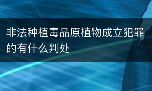 非法种植毒品原植物成立犯罪的有什么判处