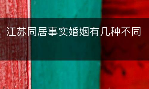 江苏同居事实婚姻有几种不同